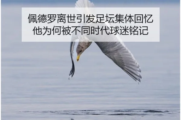 pei-de-luo-li-shi-yin-fa-zu-tan-ji-ti-hui-yi-ta-wei-he-bei-bu-tong-shi-dai-qiu-mi-ming-ji-2-596.jpg
